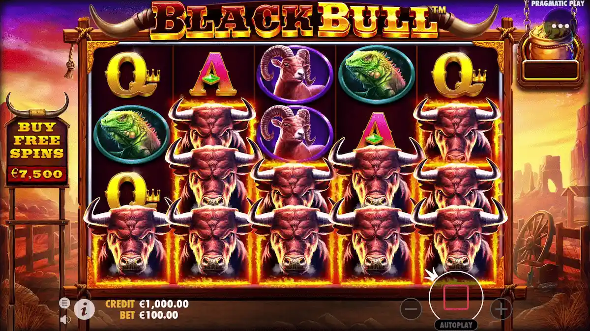 Black-Bull